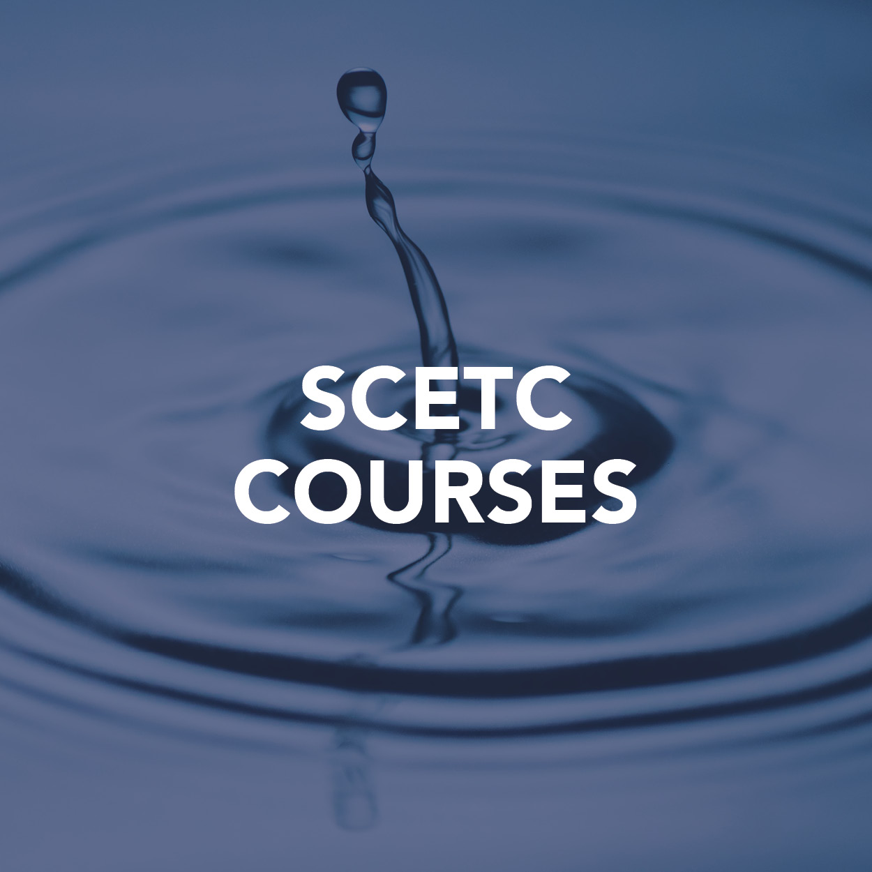 SCETC Courses